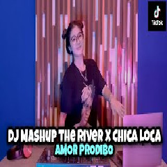 Dj Imut - Dj Mashup The River X Chica Loca X Amor Podibo