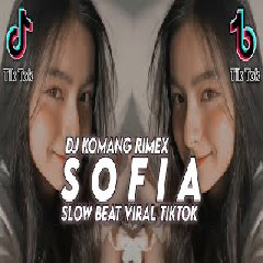 Dj Komang - Dj Sofia Slow Beat Viral Tiktok