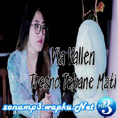 3 75 Mb Tresno Tekane Mati By Via Vallen Download